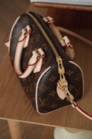 Louis Vuitton Speedy 20