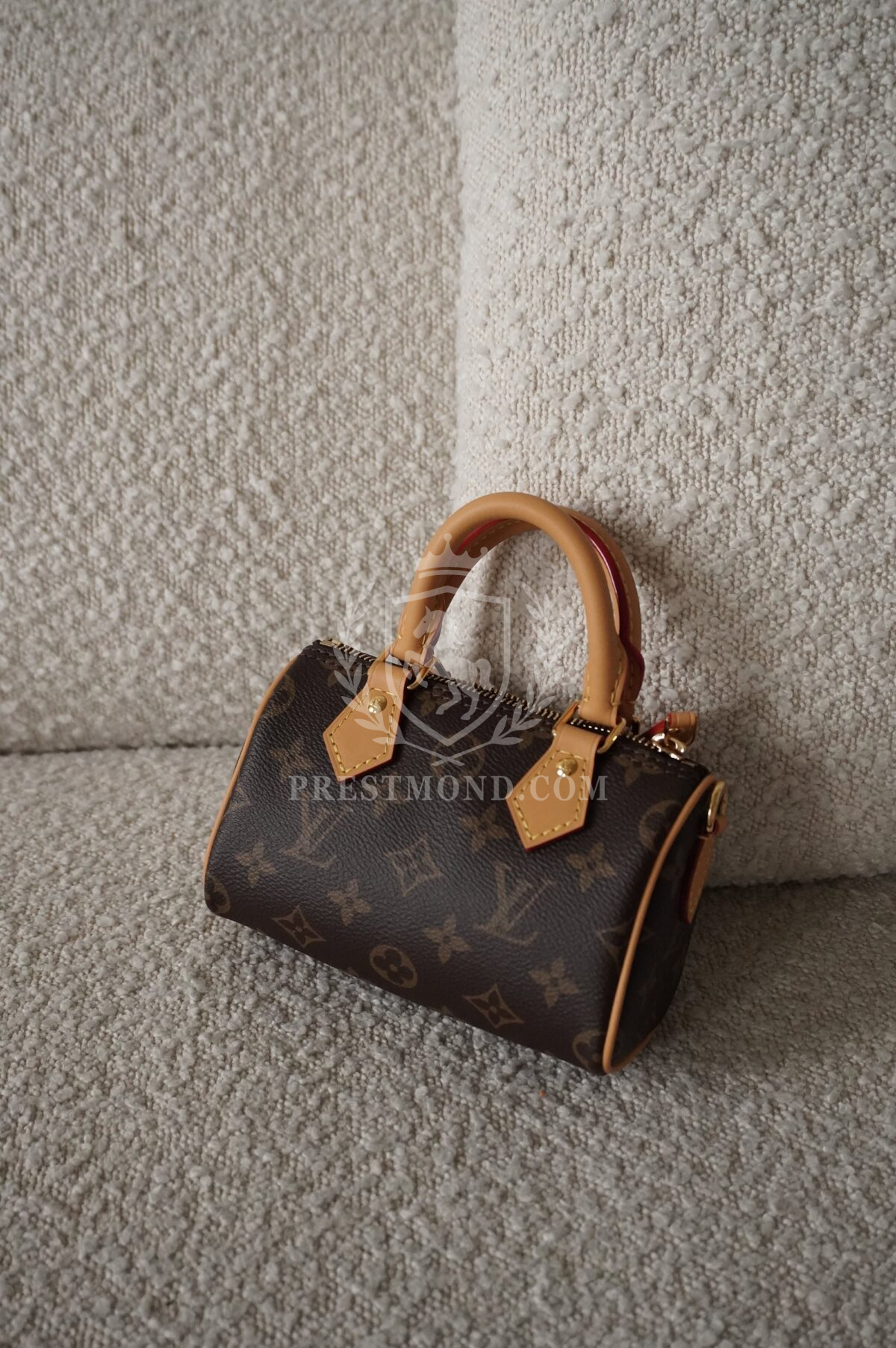 Louis Vuitton Speedy nano