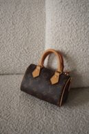Louis Vuitton Speedy nano