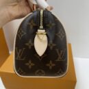 Louis Vuitton Speedy 20