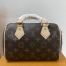 Louis Vuitton Speedy 20