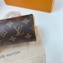 Louis Vuitton Speedy nano