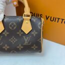 Louis Vuitton Speedy nano