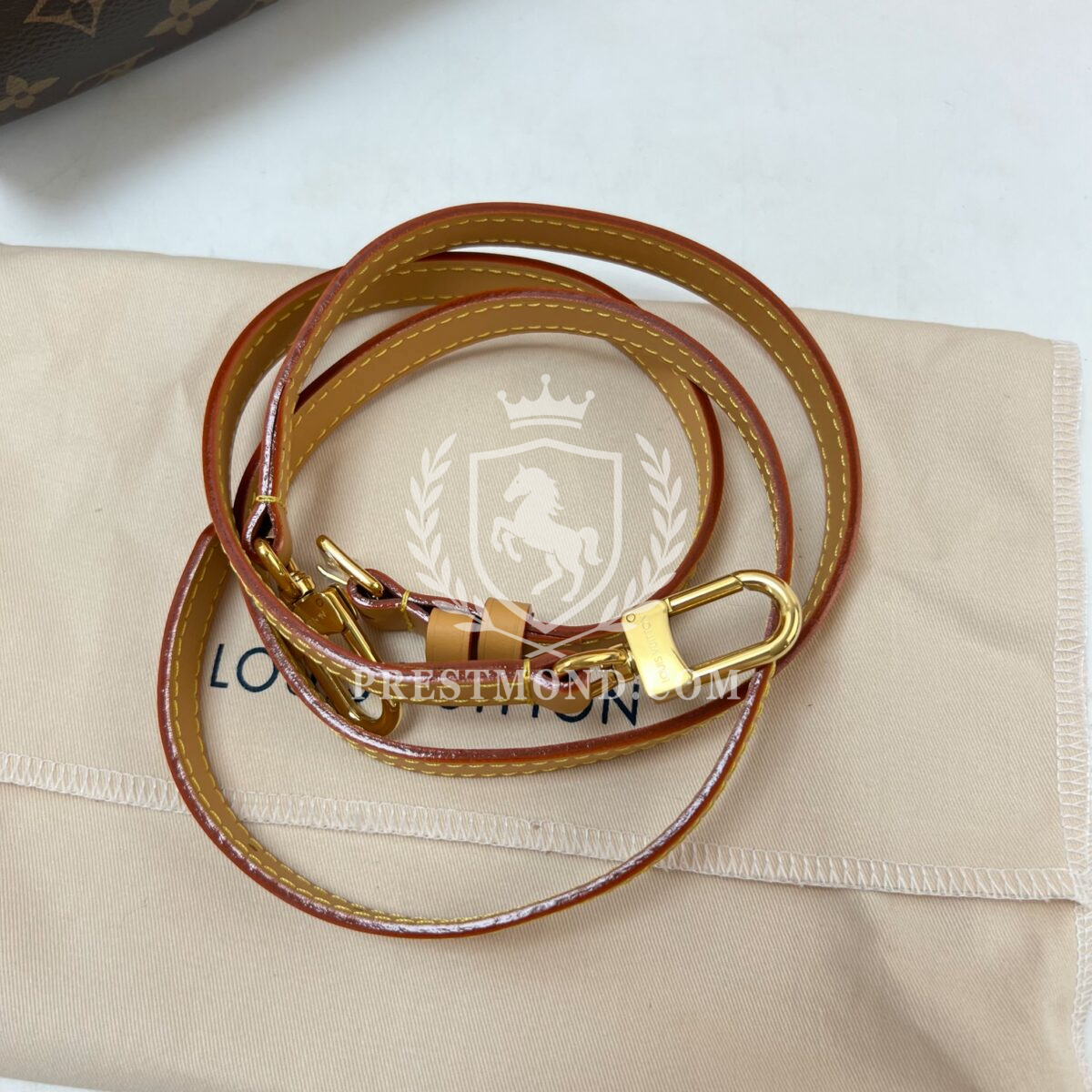 Louis Vuitton Speedy nano — изображение 10