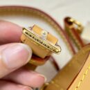 Louis Vuitton Speedy nano