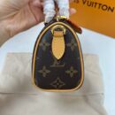 Louis Vuitton Speedy nano