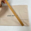 Louis Vuitton Speedy nano